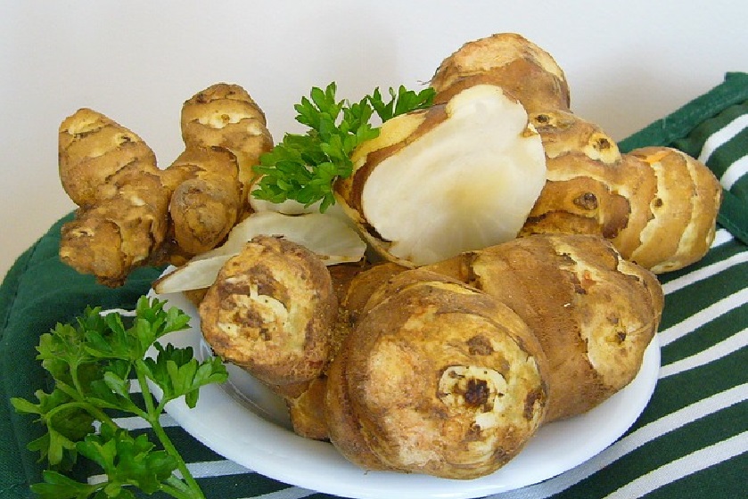 ginger-57072_640
