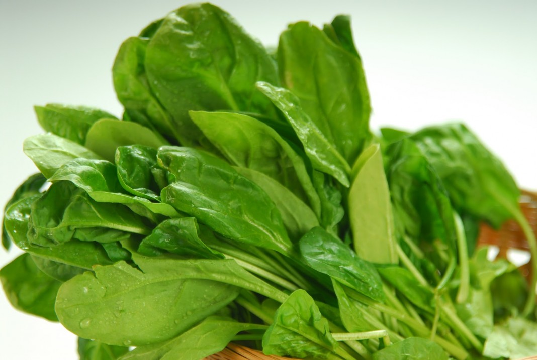 పాలకూరలోని ఆరోగ్య ప్రయోజనాలు Health Benefits of Spinach in Telugu