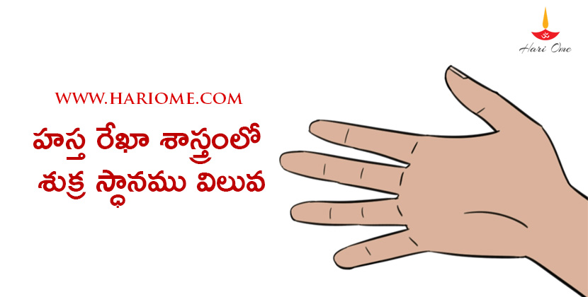 palmistry