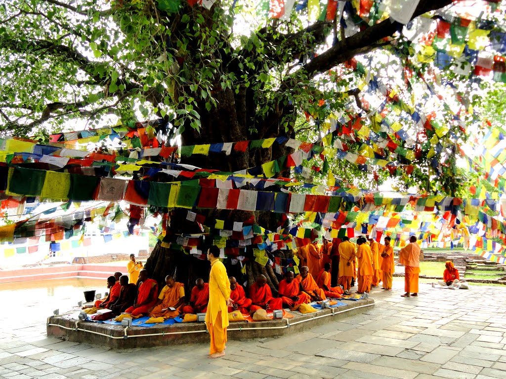 Tree Worship