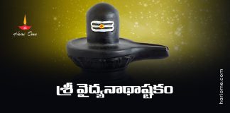 Shiva Tandava Stotram Lyrics in Telugu | శివ తాండవ స్తోత్రం • Hari Ome